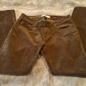 Olive green CAbi cords. Great fall/winter color. Super comfortable with stretch!